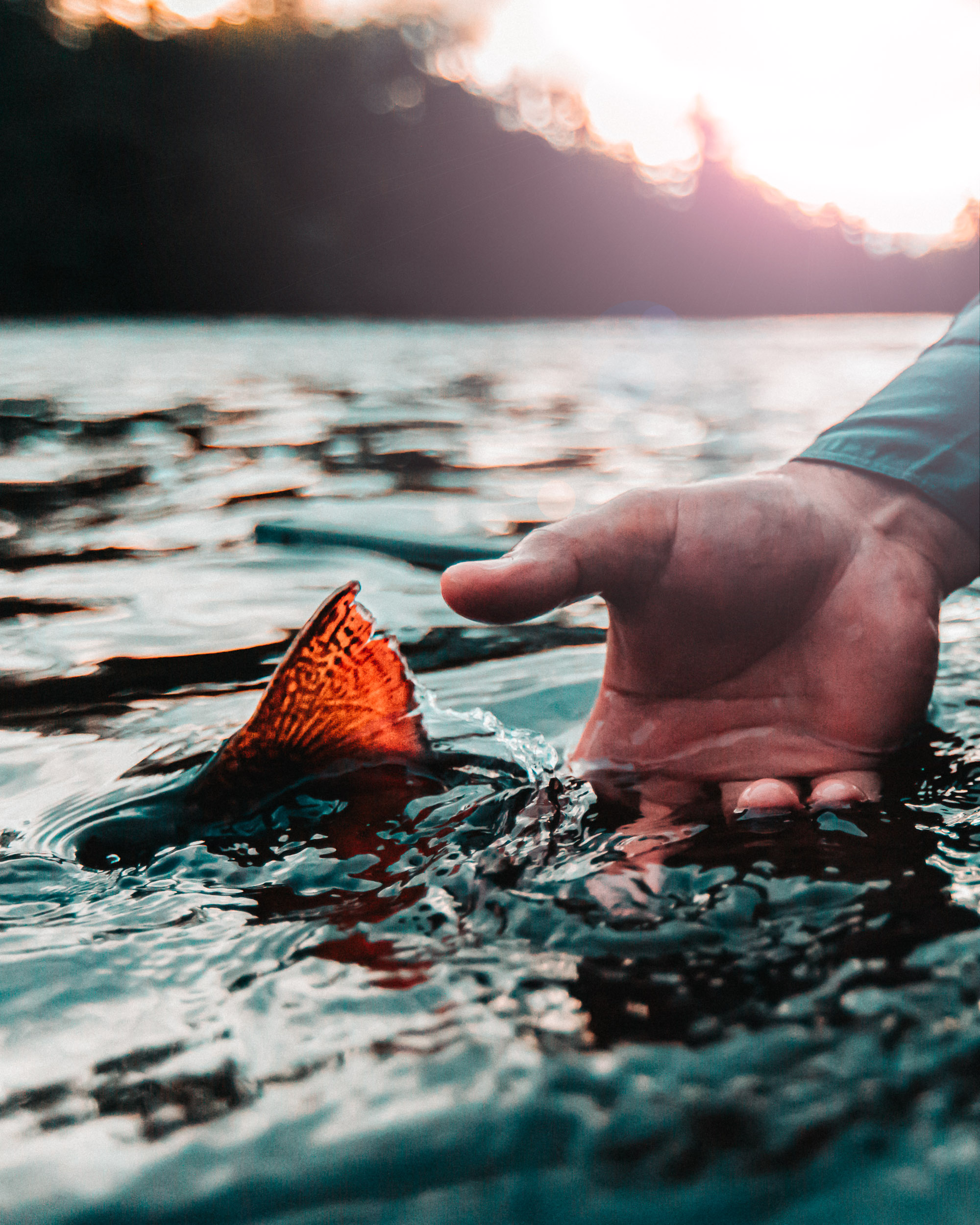 10 Tips Up Your Fly Fishing Photography Eastbound and Trout